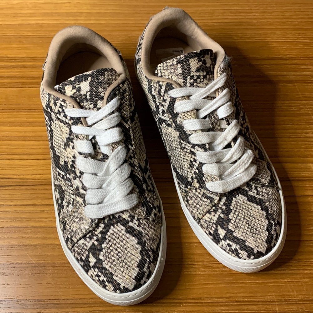 Steve Madden Snake Print sneaker BRAND NEW! - Picture 2 of 5